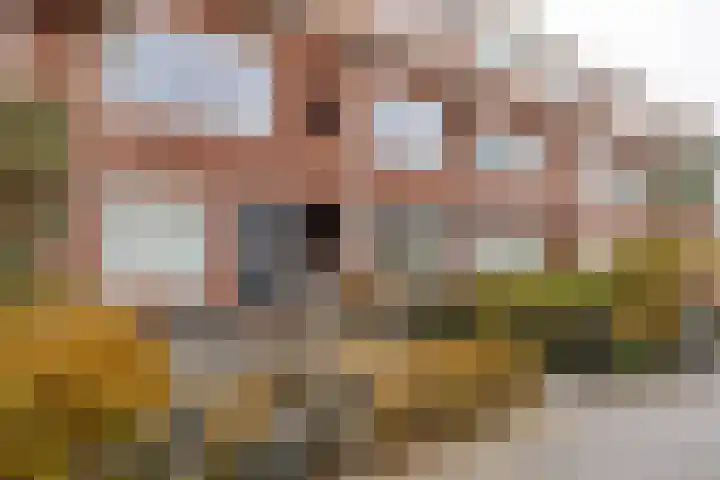 Rijnstraat 30 b Groningen thumbnail 47