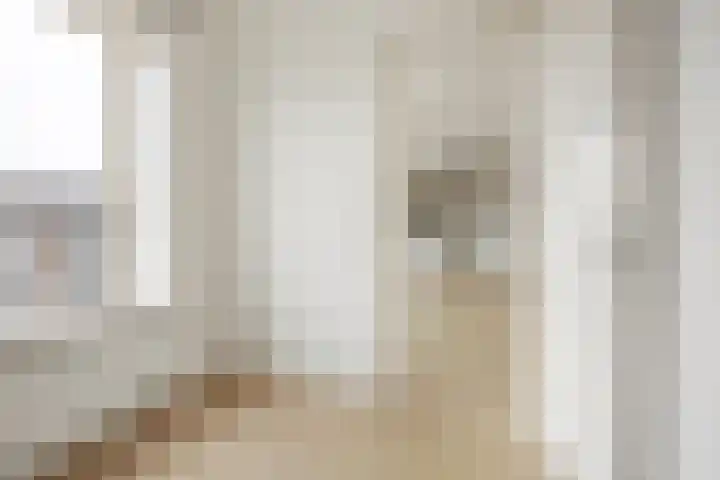 Rijnstraat 31 3 Amsterdam thumbnail 7