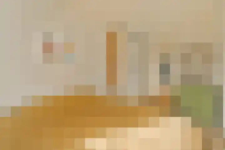 Rijnstraat 31 4 Amsterdam thumbnail 8