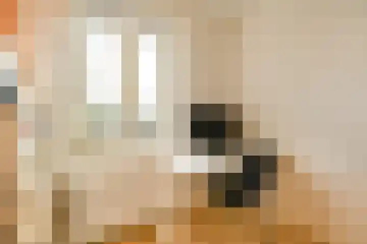 Rijnstraat 31 4 Amsterdam thumbnail 9