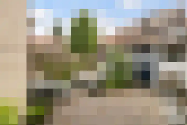 Rijnstraat 31 Dordrecht thumbnail 31