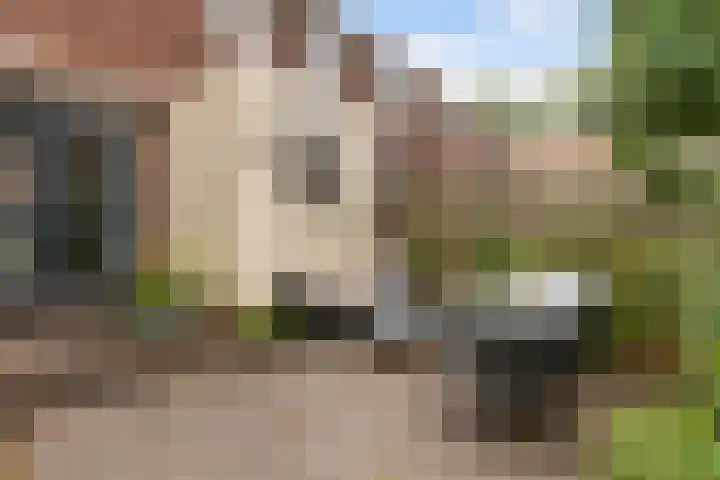 Rijnstraat 31 Dordrecht thumbnail 33