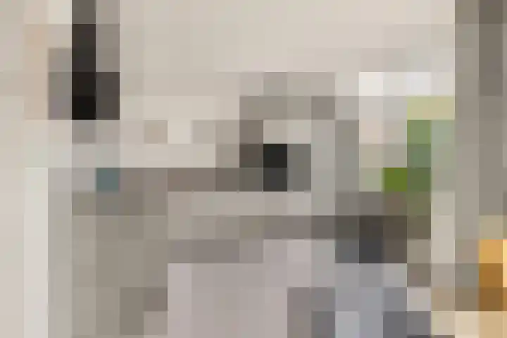 Rijnstraat 33 Alkmaar thumbnail 12
