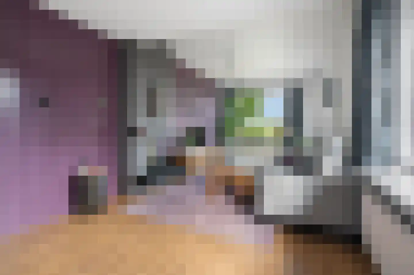 Rijnstraat 33 Ingen thumbnail 11