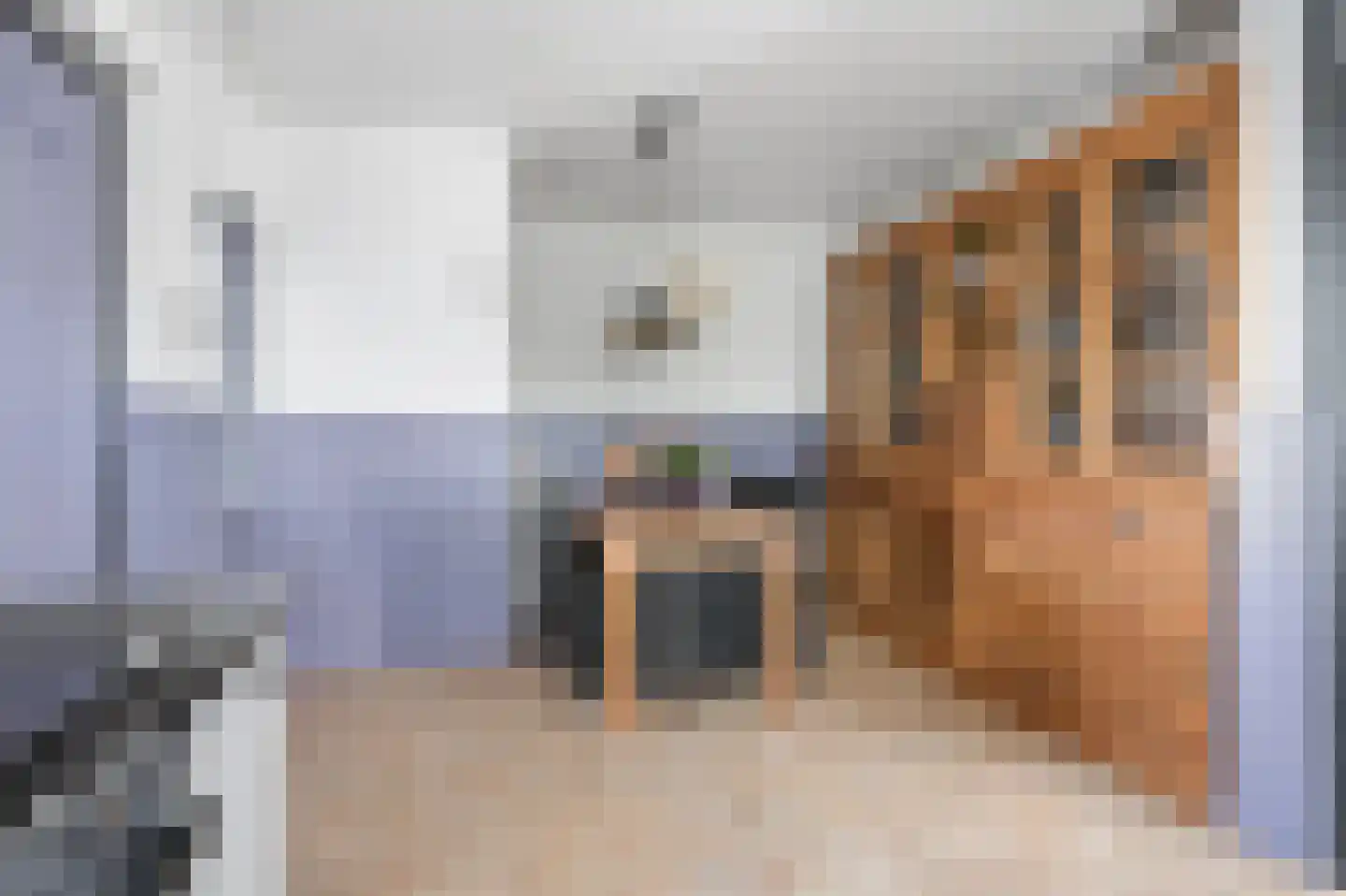 Rijnstraat 33 Ingen thumbnail 23