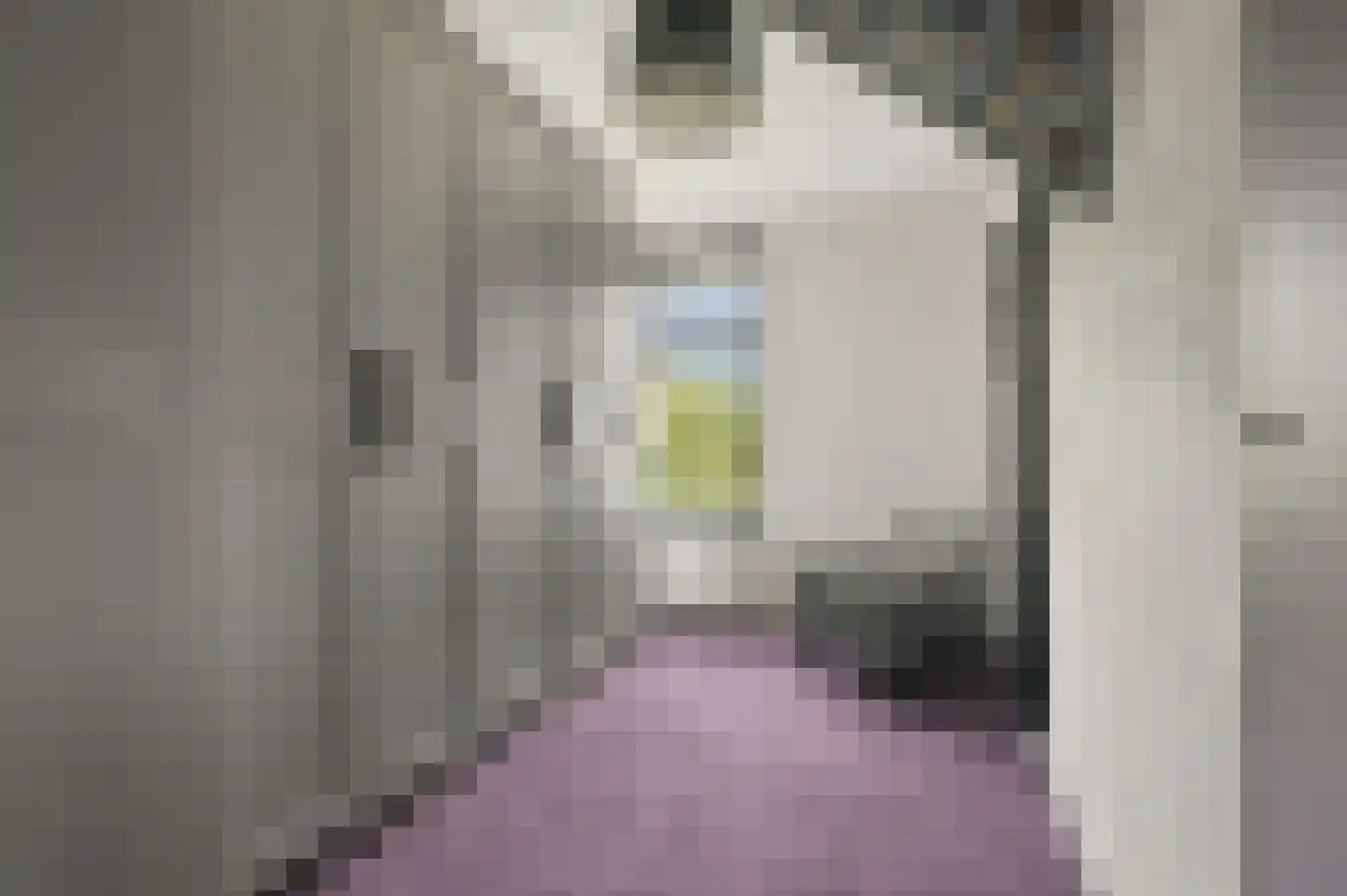 Rijnstraat 33 Ingen thumbnail 40
