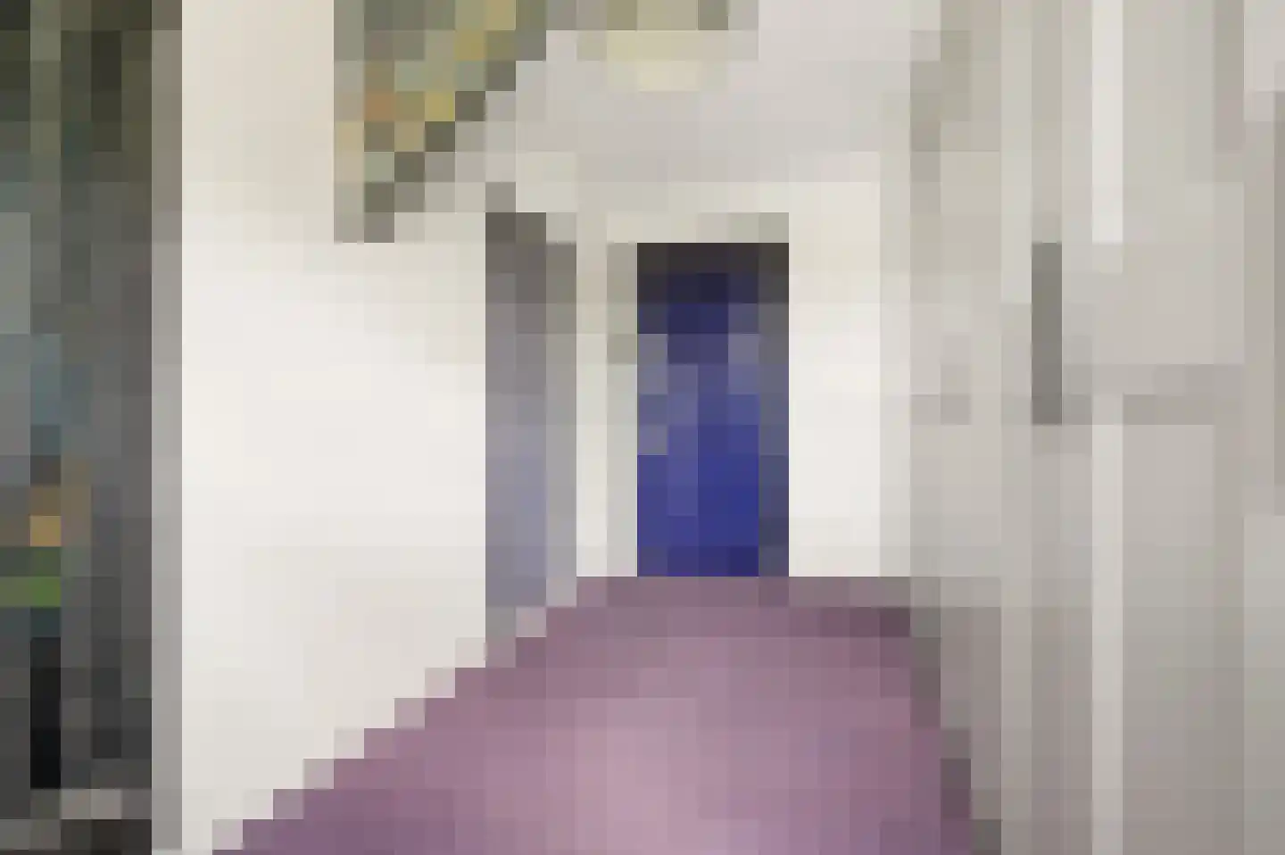 Rijnstraat 33 Ingen thumbnail 41