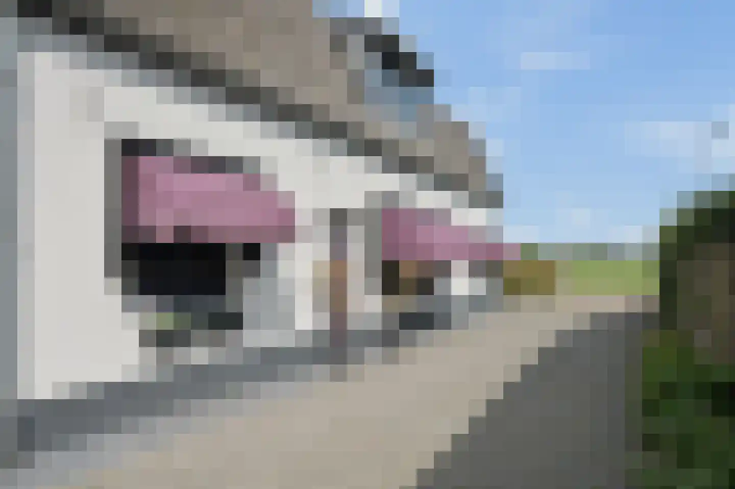 Rijnstraat 33 Ingen thumbnail 45