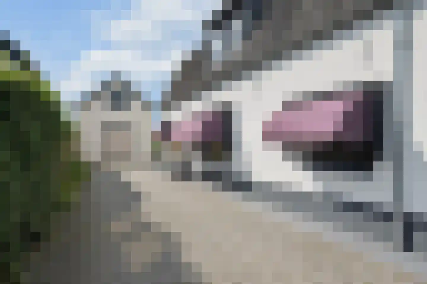 Rijnstraat 33 Ingen thumbnail 46