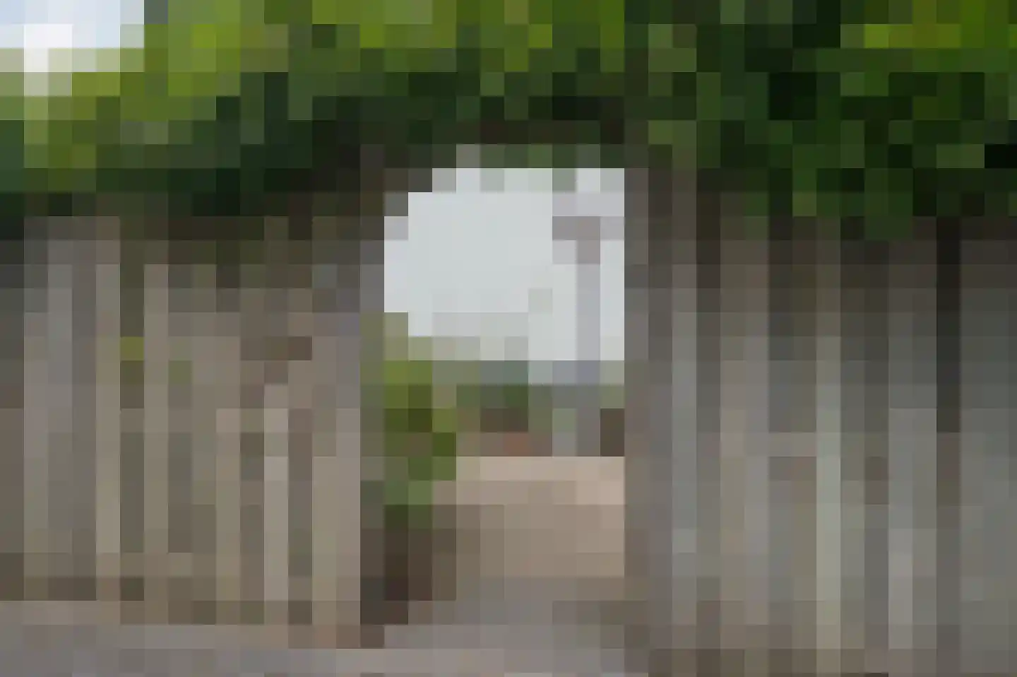 Rijnstraat 33 Ingen thumbnail 47