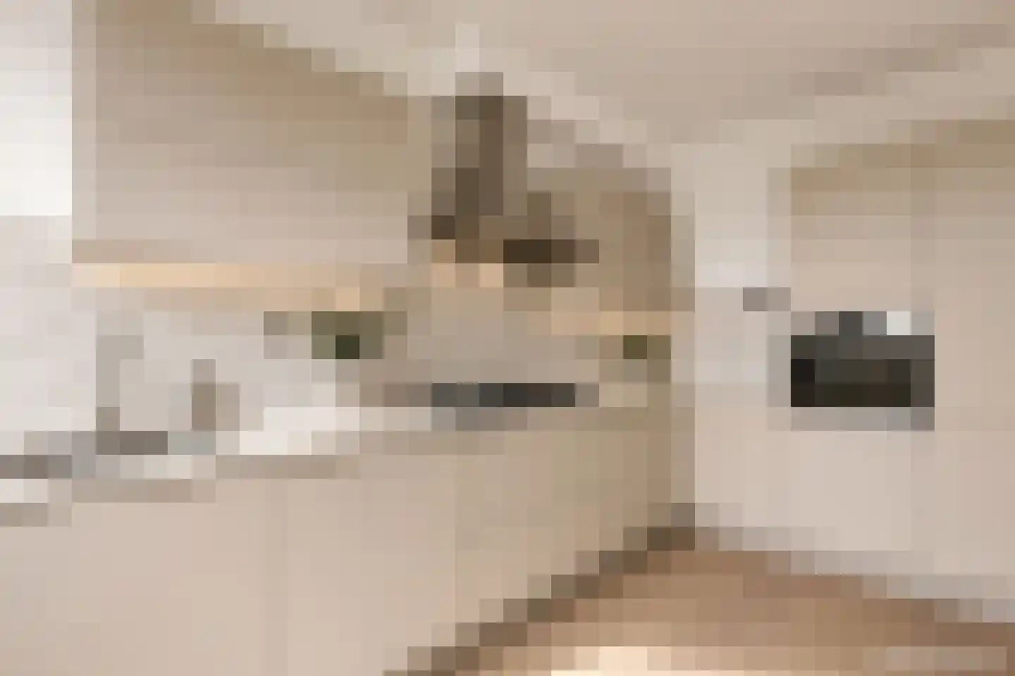 Rijnstraat 34 Assen thumbnail 8
