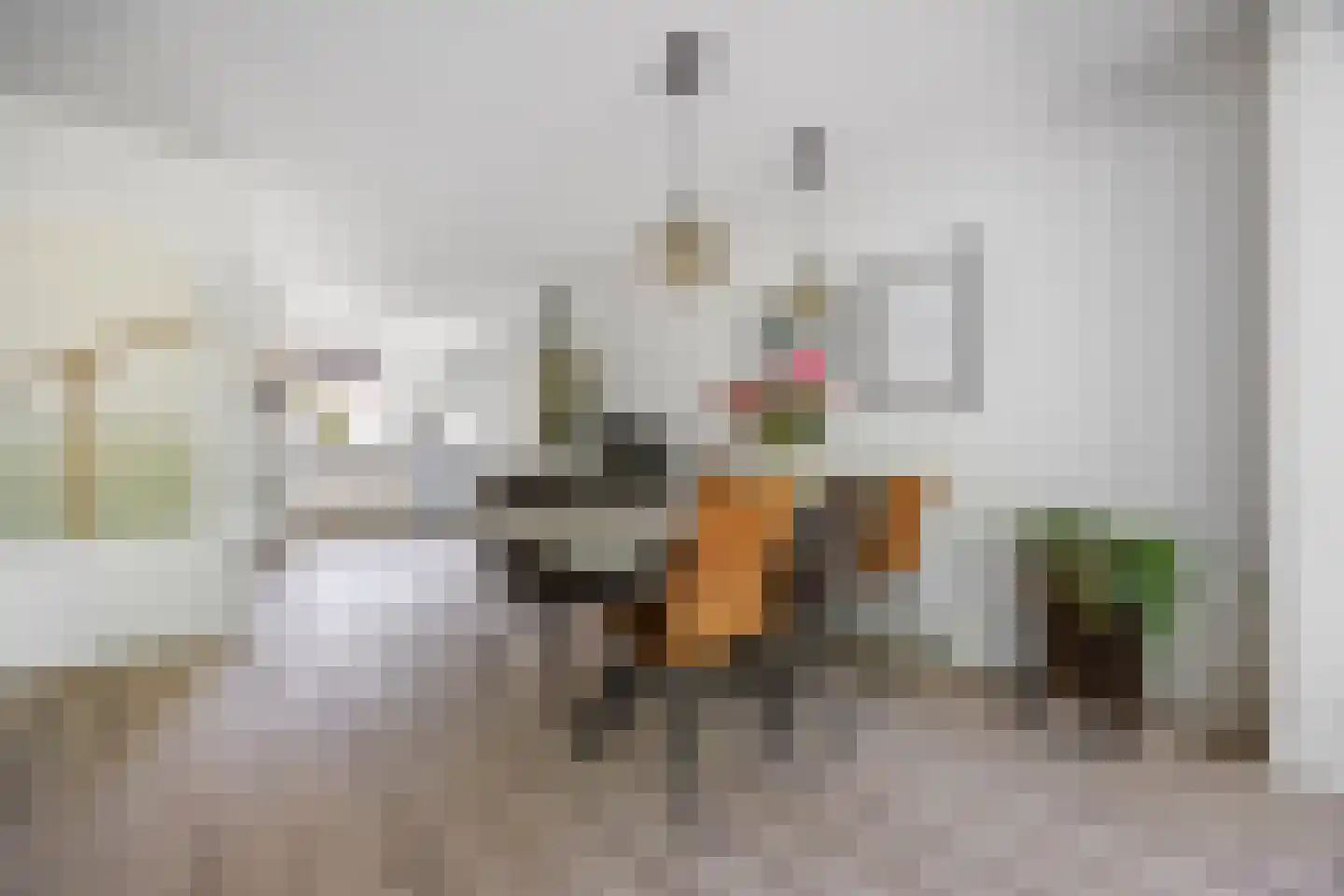 Rijnstraat 34 Nijmegen thumbnail 6