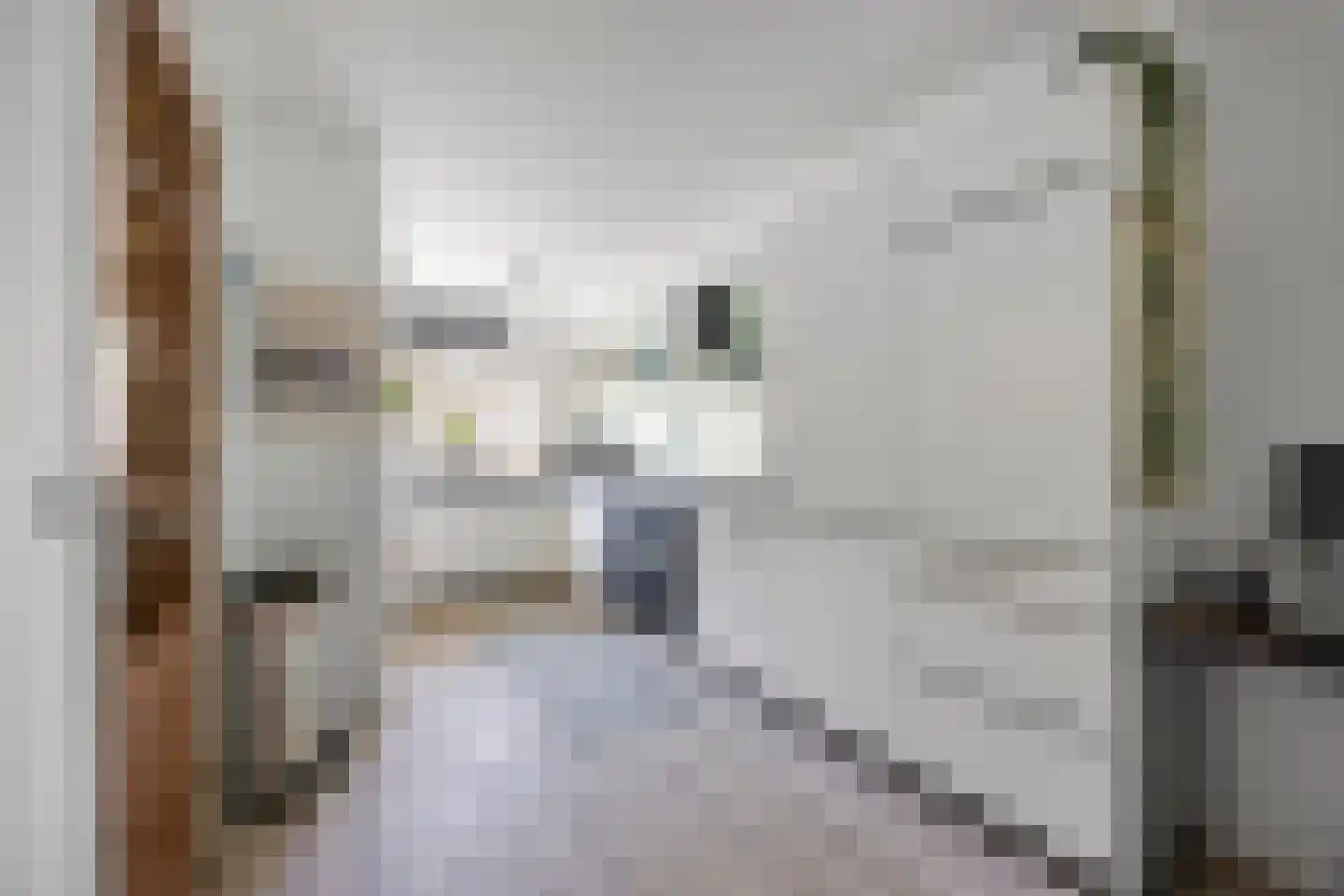 Rijnstraat 34 Nijmegen thumbnail 8