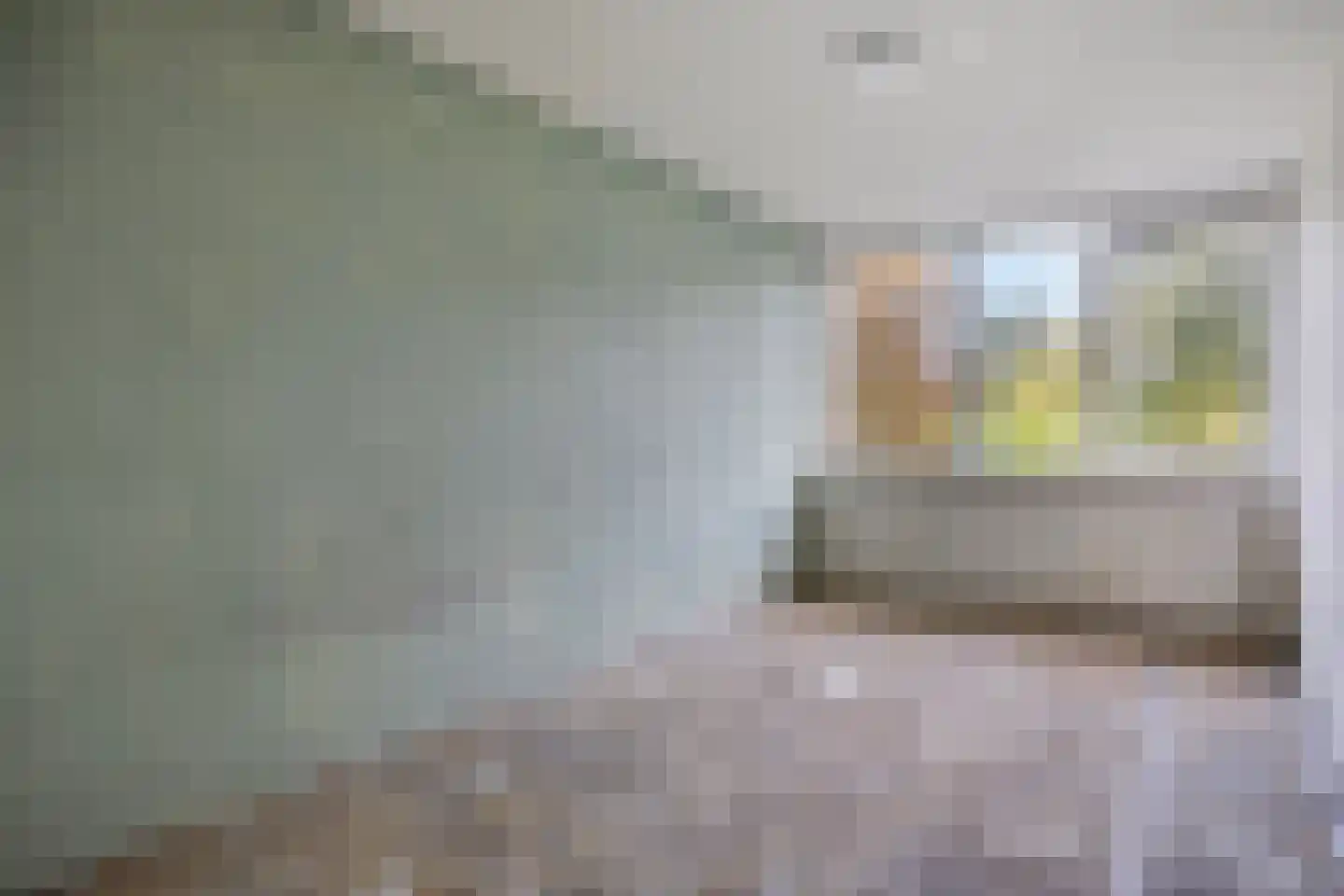 Rijnstraat 34 Veghel thumbnail 15