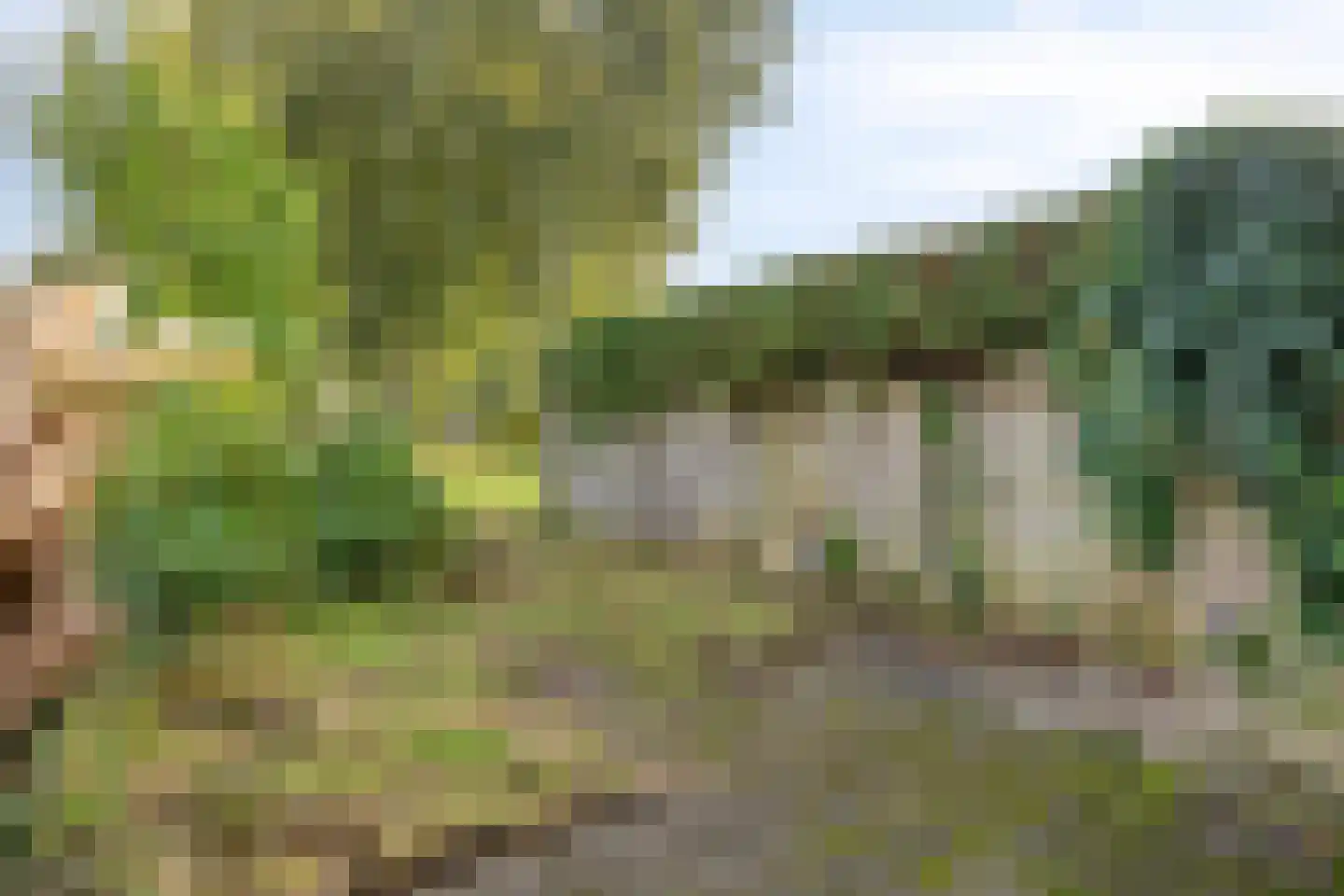 Rijnstraat 34 Veghel thumbnail 28