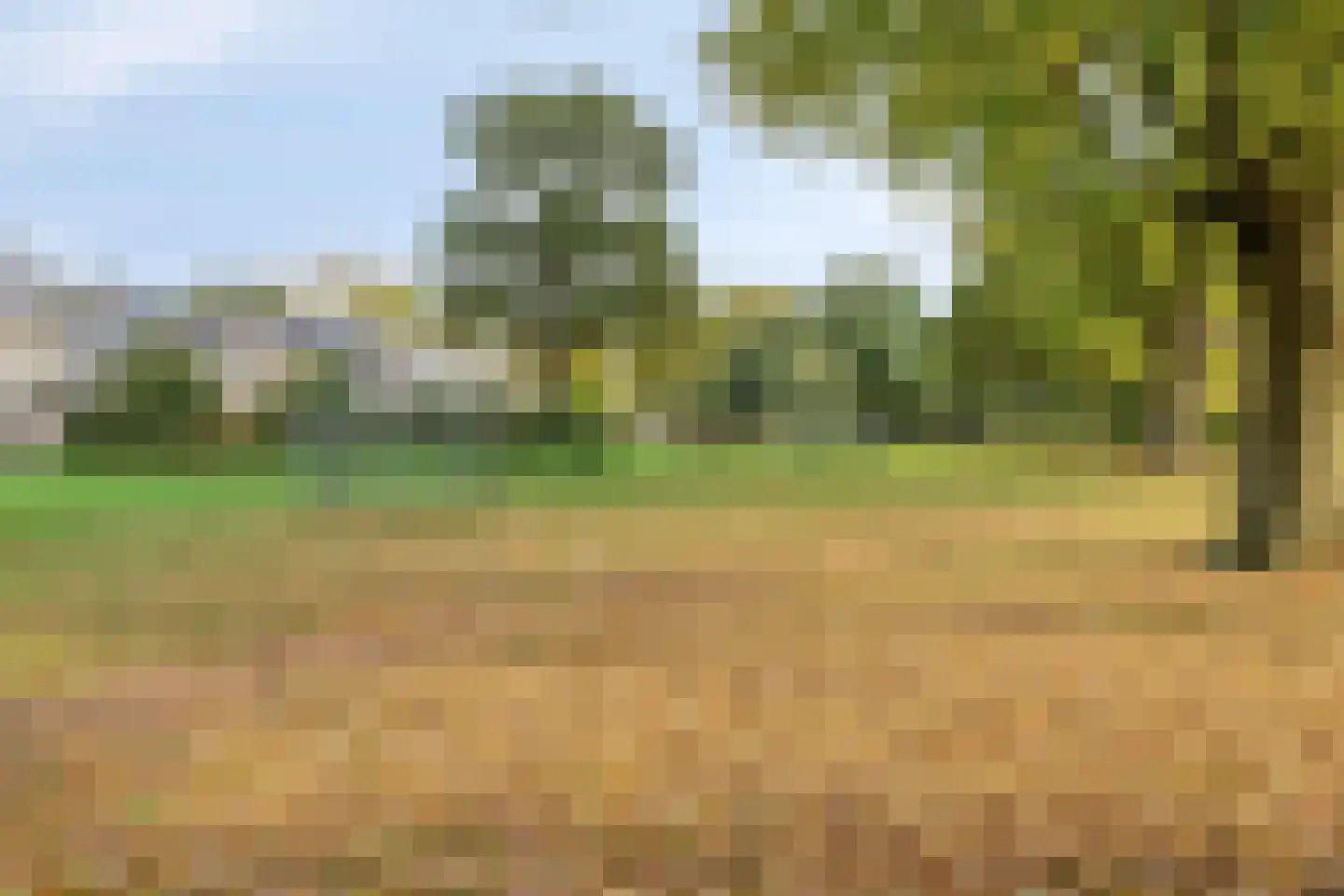 Rijnstraat 34 Veghel thumbnail 31