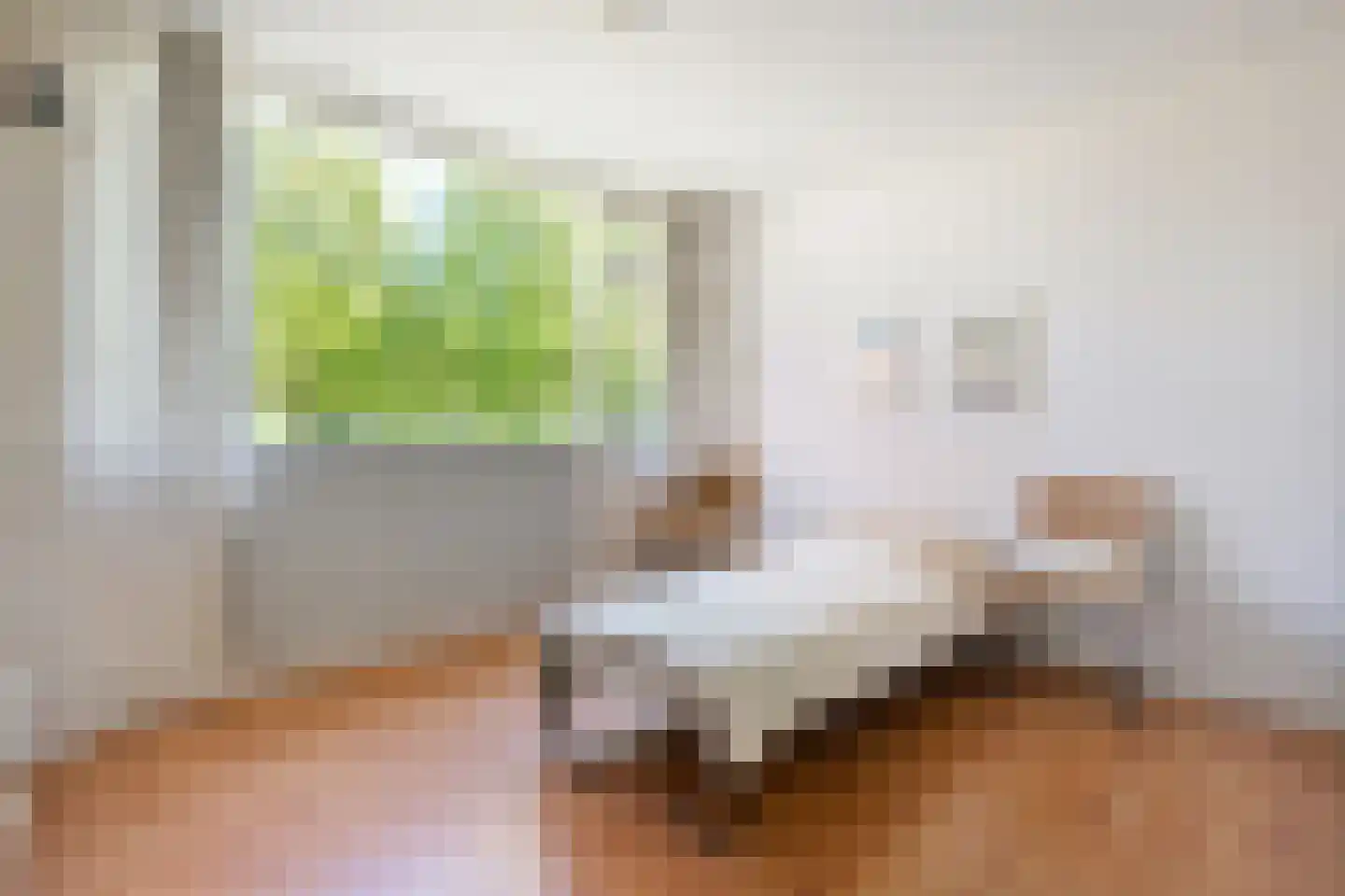 Rijnstraat 37 Assen thumbnail 23