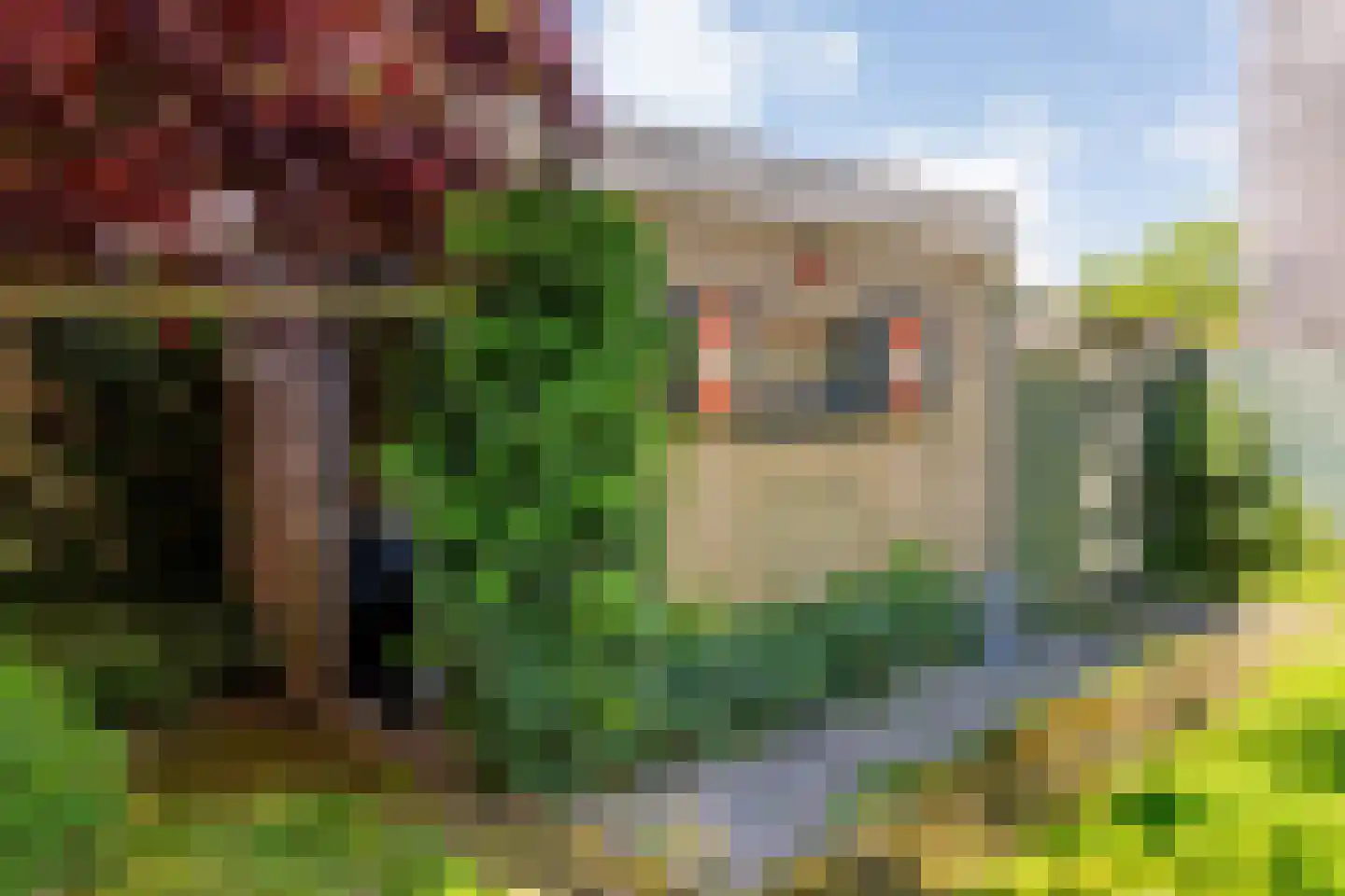 Rijnstraat 37 Assen thumbnail 34