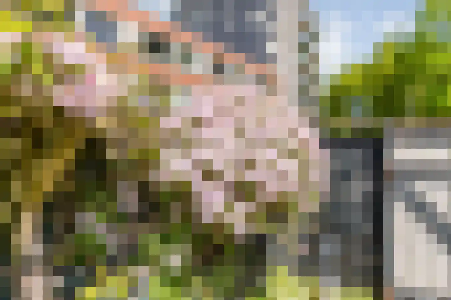 Rijnstraat 37 Assen thumbnail 37