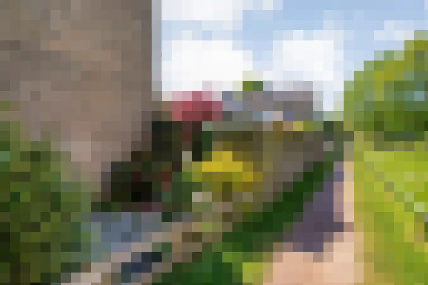 Rijnstraat 37 Assen thumbnail 38