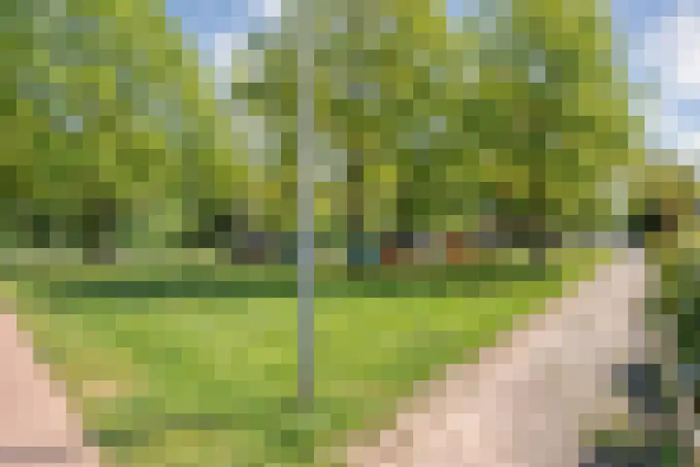 Rijnstraat 37 Assen thumbnail 43