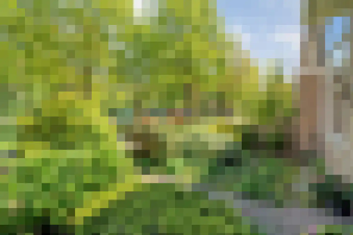 Rijnstraat 37 Assen thumbnail 46