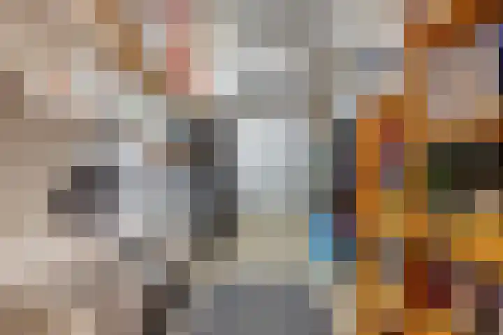 Rijnstraat 37 Veghel thumbnail 31