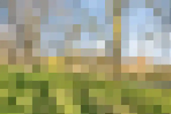 Rijnstraat 37 Veghel thumbnail 38