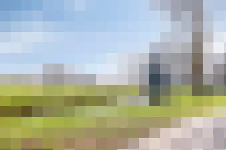 Rijnstraat 37 Veghel thumbnail 39