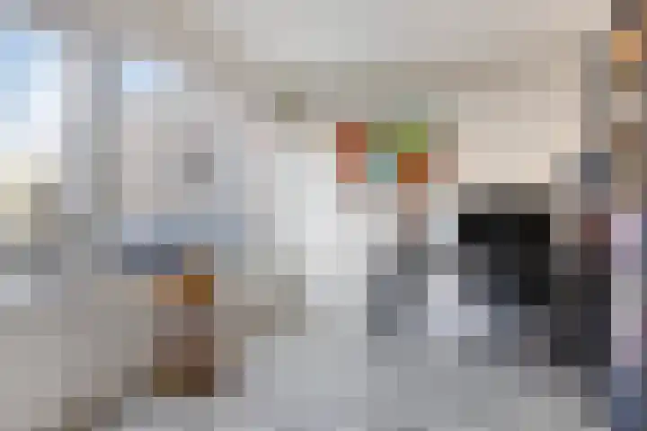 Rijnstraat 37 Veghel thumbnail 7