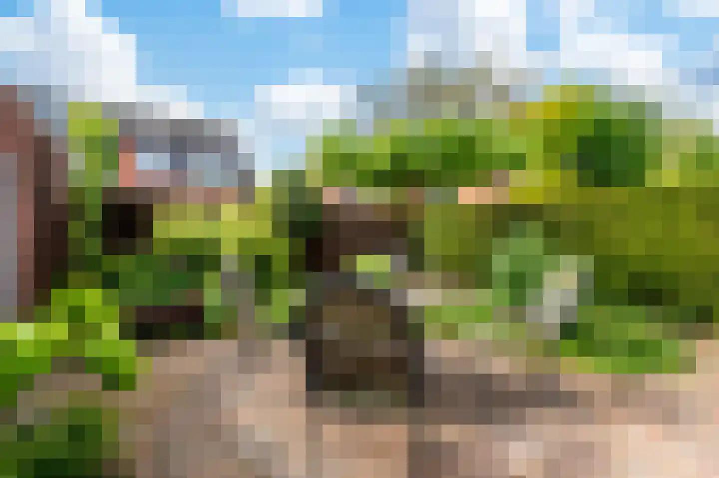 Rijnstraat 4 B Apeldoorn thumbnail 26