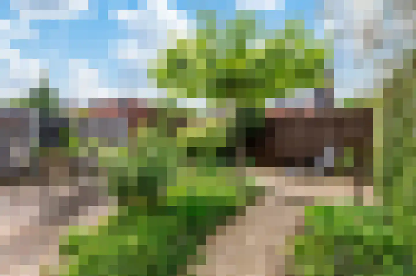 Rijnstraat 4 B Apeldoorn thumbnail 27
