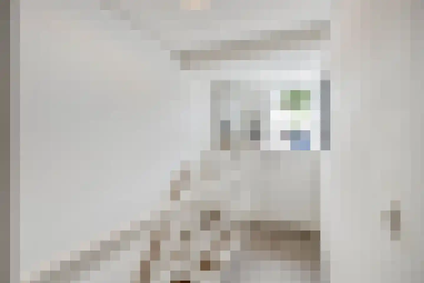 Rijnstraat 4 Deventer thumbnail 18