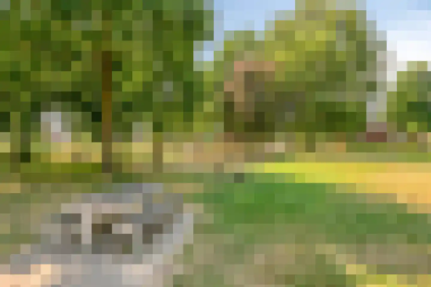 Rijnstraat 4 Deventer thumbnail 31