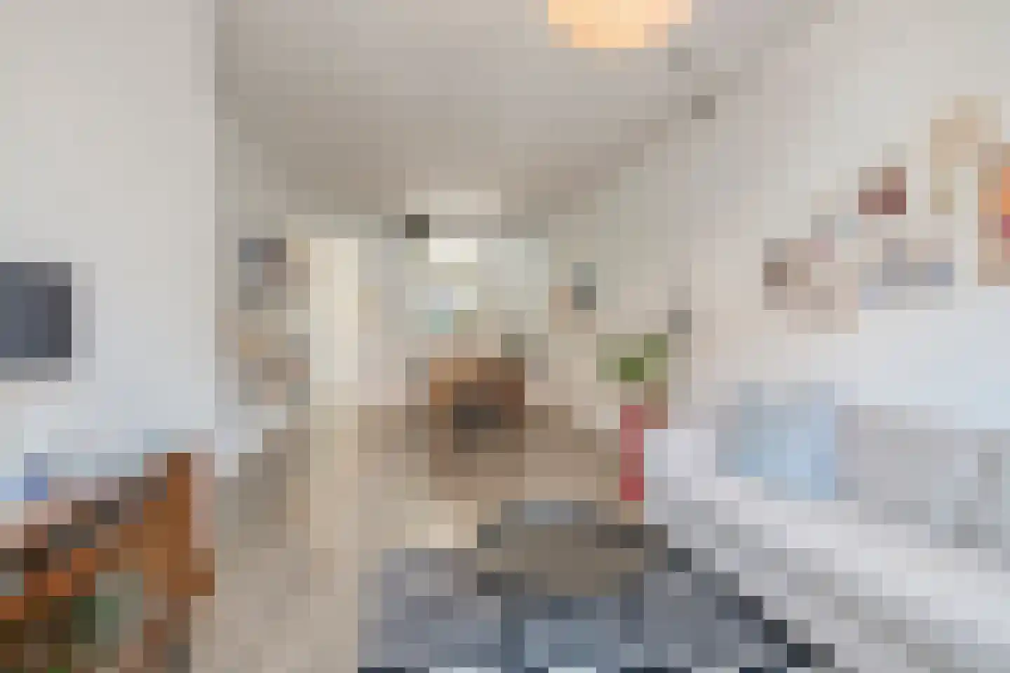 Rijnstraat 4 Deventer thumbnail 4