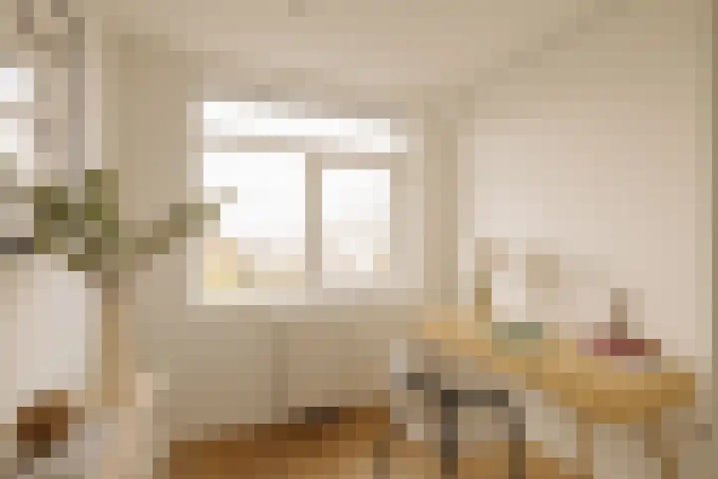 Rijnstraat 40 3 Amsterdam thumbnail 19