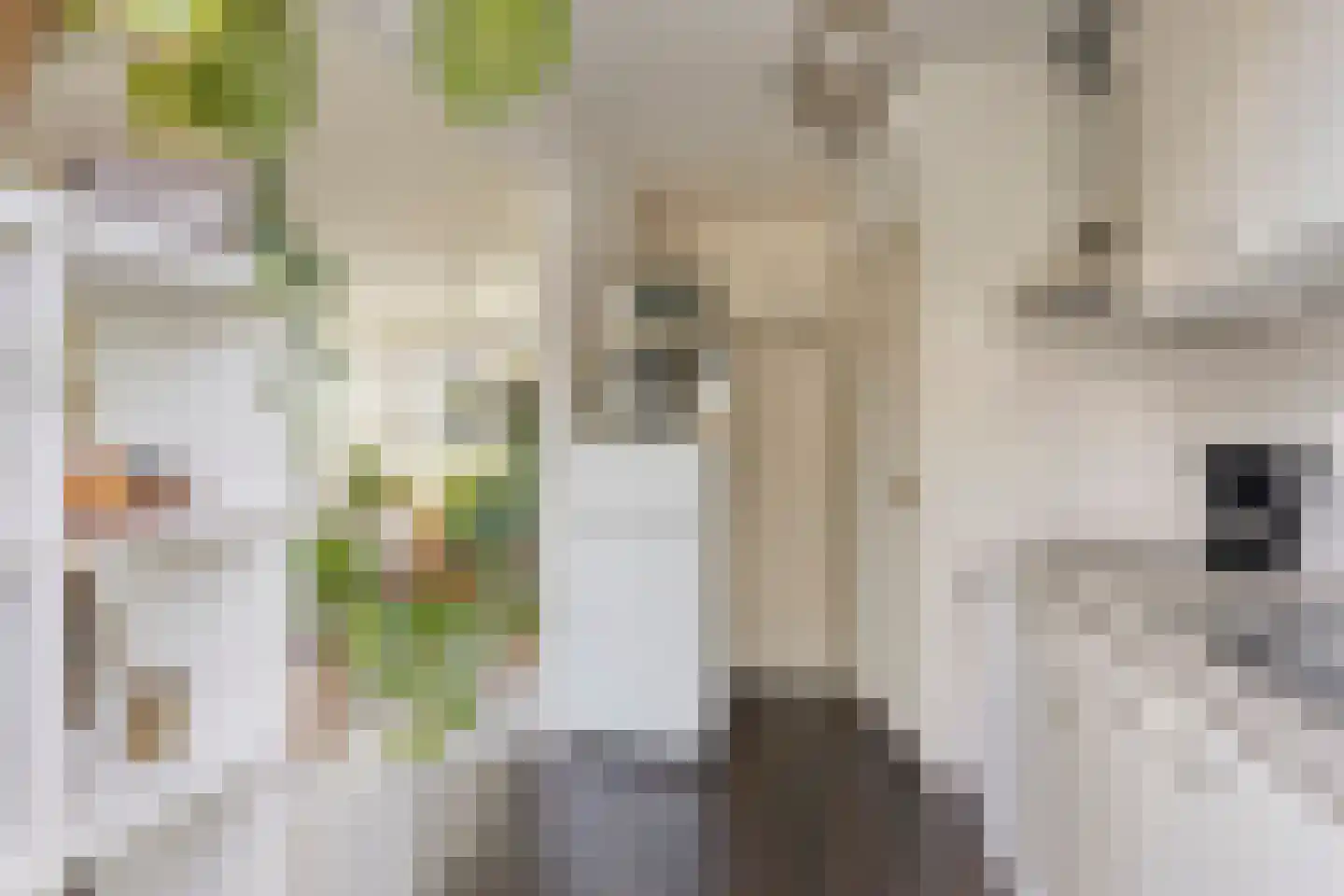 Rijnstraat 40 Heemskerk thumbnail 6