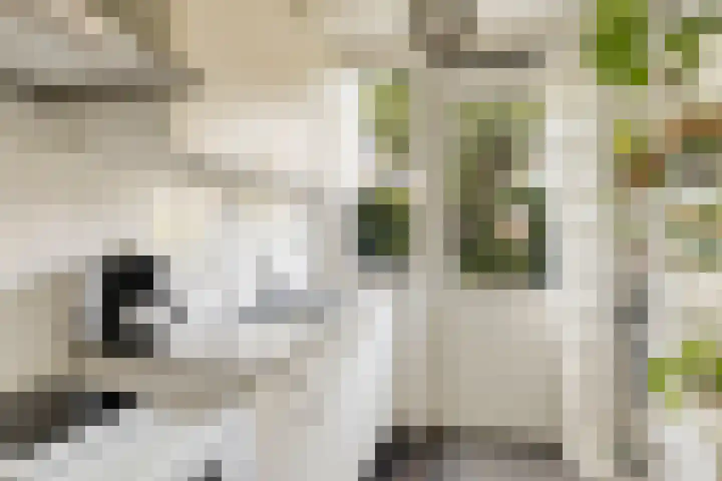 Rijnstraat 40 Heemskerk thumbnail 8