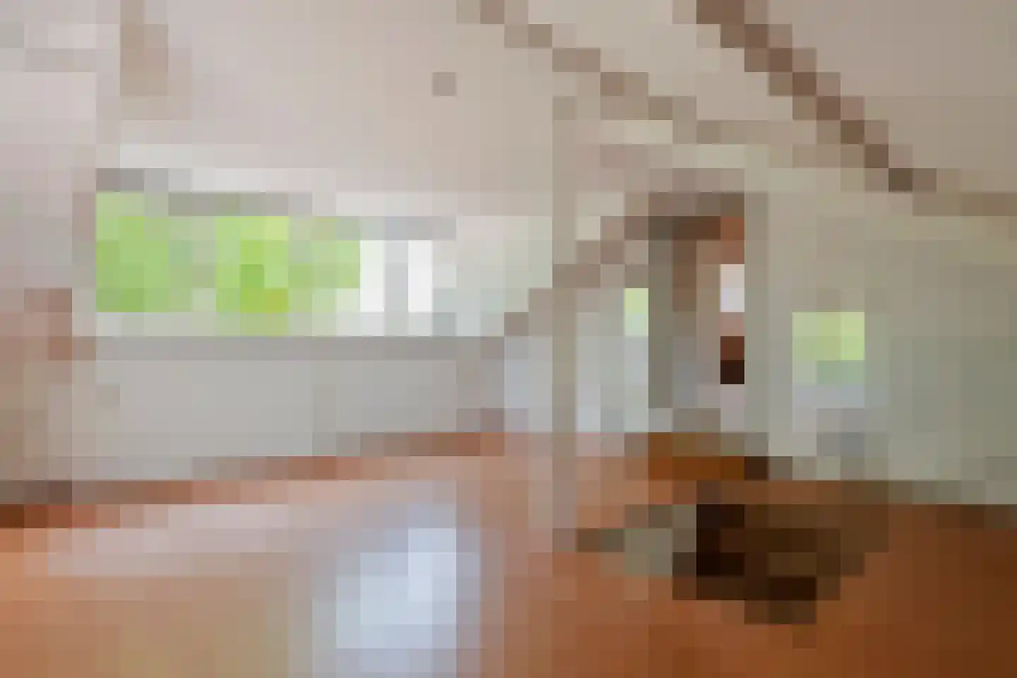 Rijnstraat 40 Ingen thumbnail 44