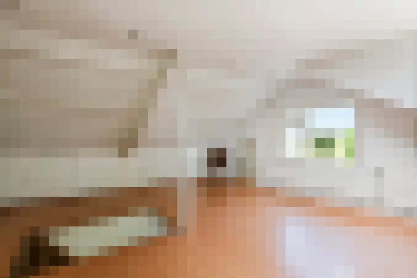 Rijnstraat 40 Ingen thumbnail 45