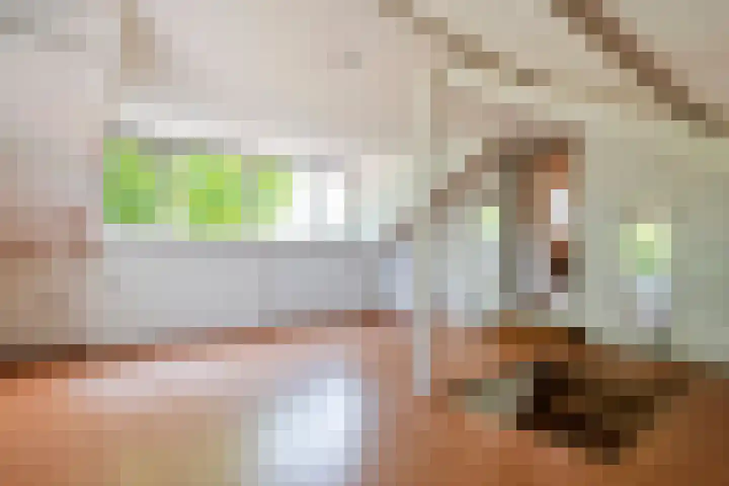 Rijnstraat 40 Ingen thumbnail 46