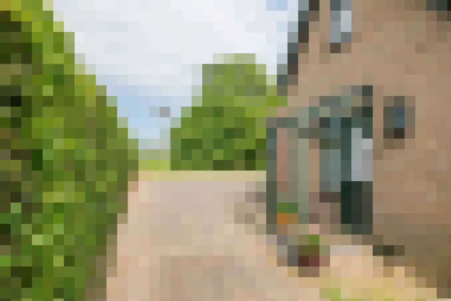 Rijnstraat 40 Ingen thumbnail 8
