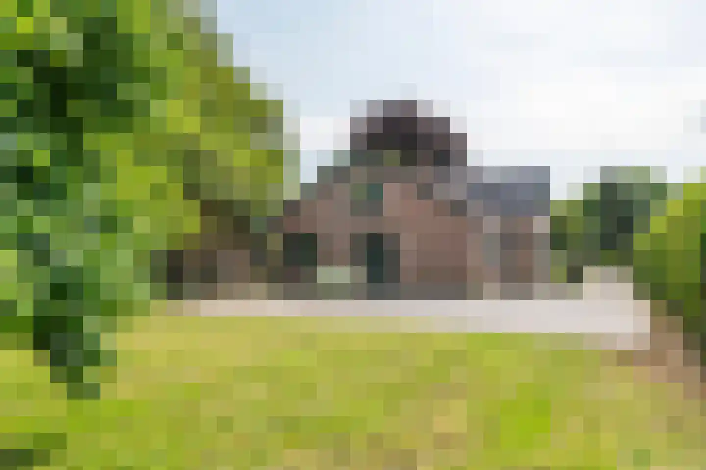 Rijnstraat 40 Ingen thumbnail 9