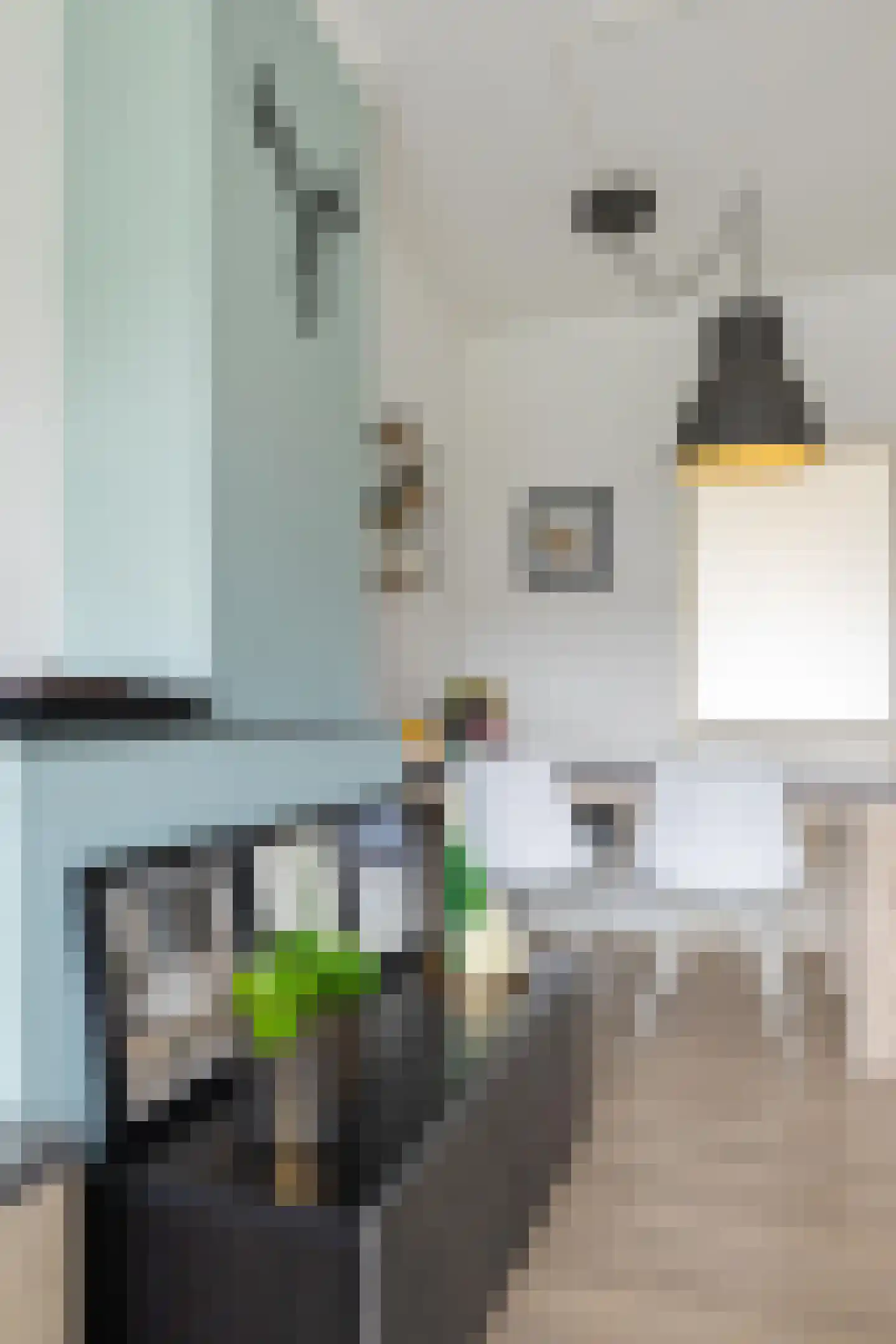Rijnstraat 41 Groningen thumbnail 15