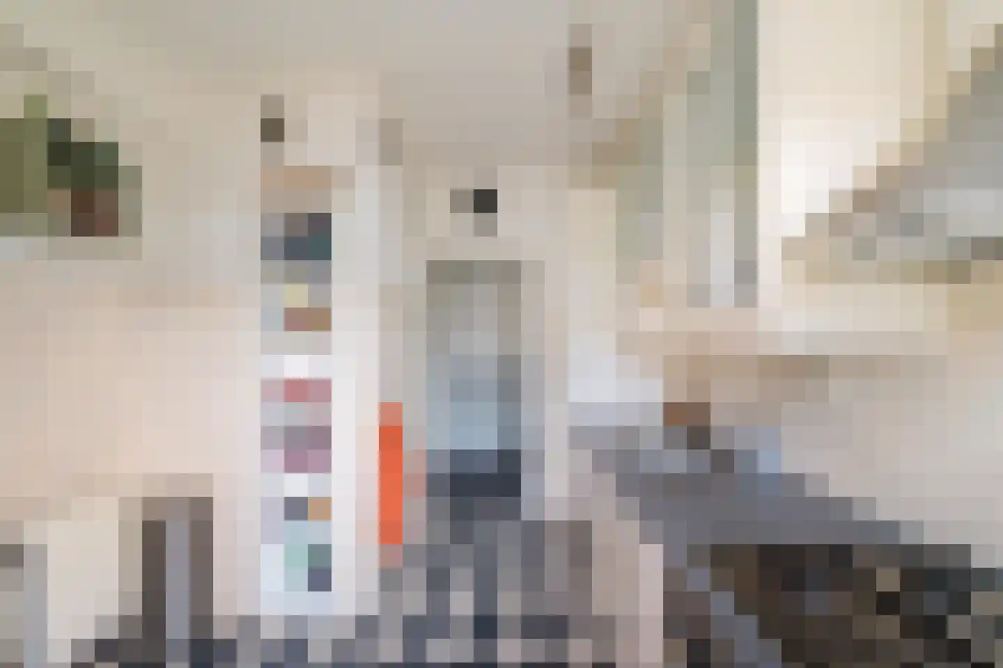 Rijnstraat 41 Groningen thumbnail 20