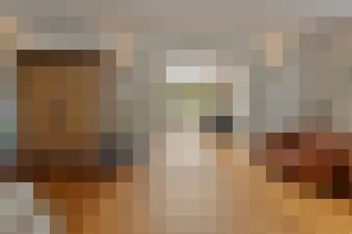 Rijnstraat 42 Eindhoven thumbnail 13