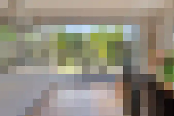 Rijnstraat 42 Eindhoven thumbnail 18