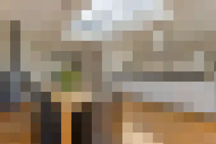 Rijnstraat 42 Eindhoven thumbnail 20