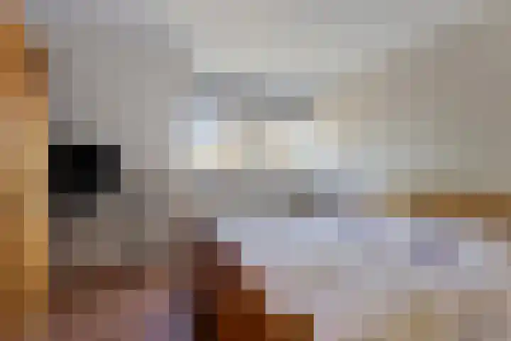 Rijnstraat 42 Eindhoven thumbnail 36