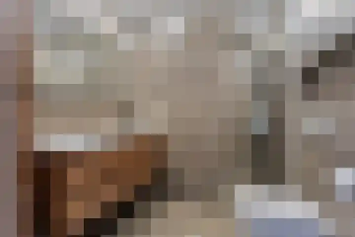 Rijnstraat 42 Eindhoven thumbnail 38